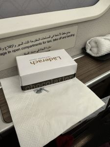 Business class Qatar Airways_13