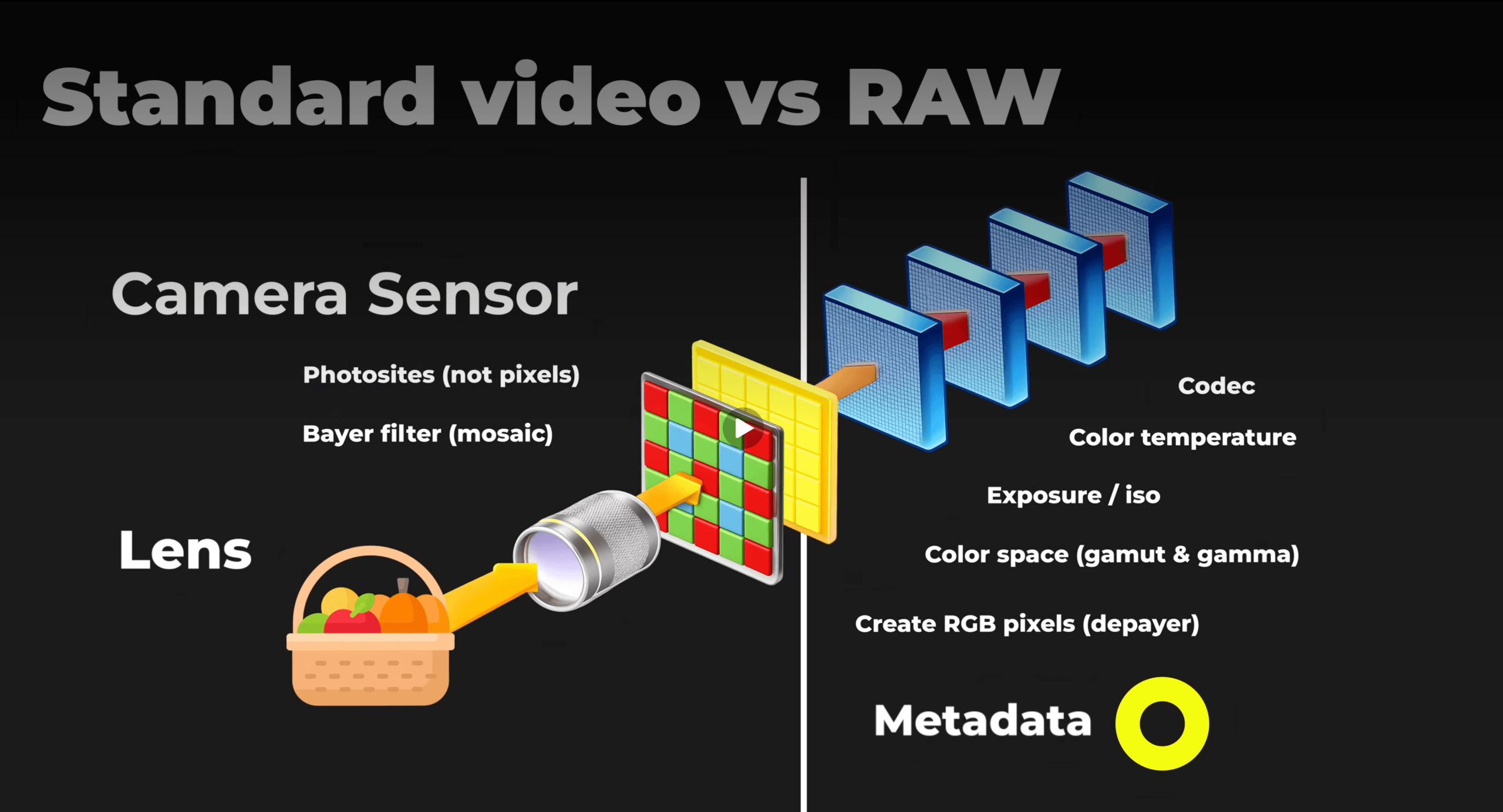 REC.709 vs LOG vs RAW The Complete Breakdown for Filmmakers 1 What is Rec.709 color standard with color gamut diagram
