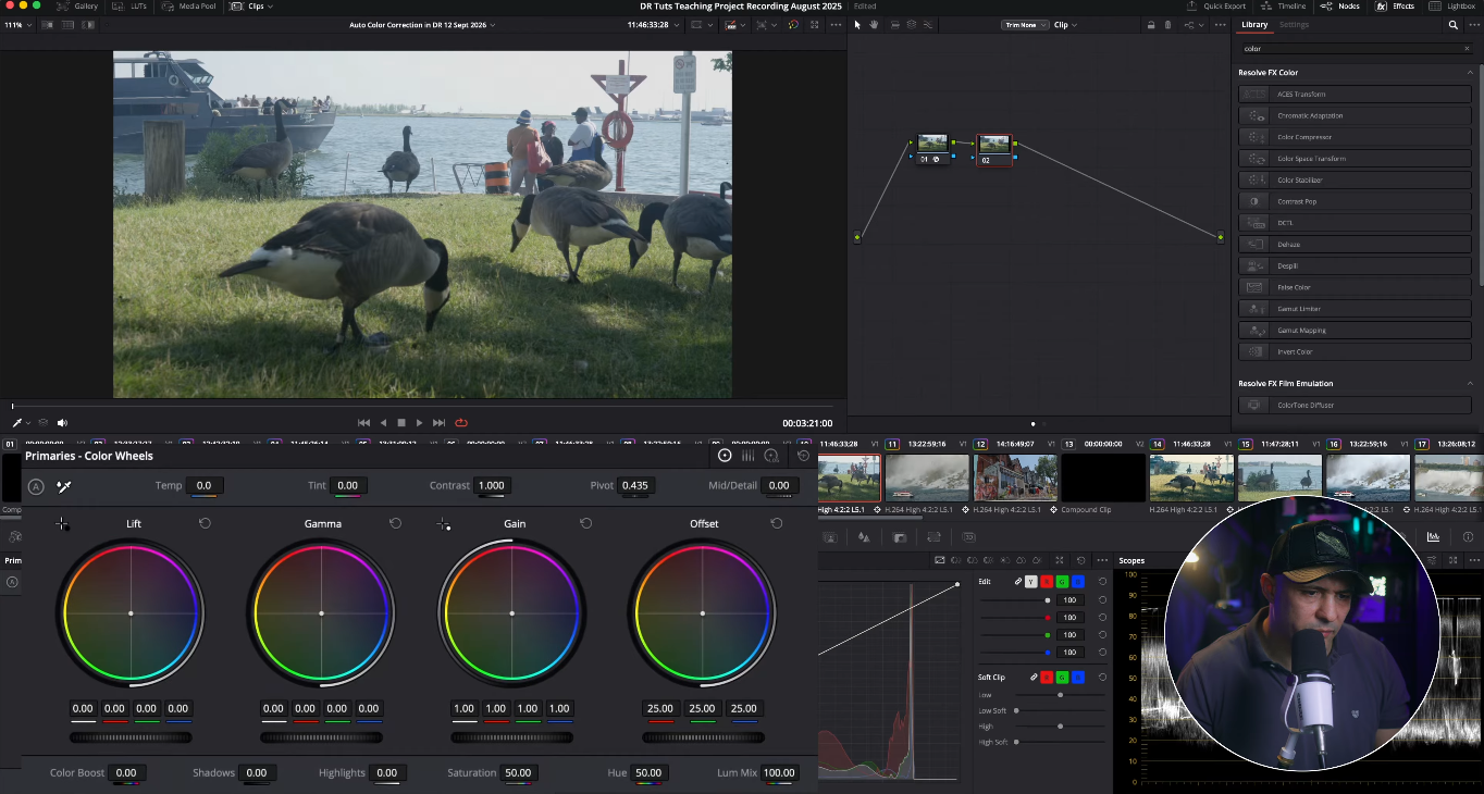 DaVinci Resolve Primaries Color Wheels with White Balance eyedropper