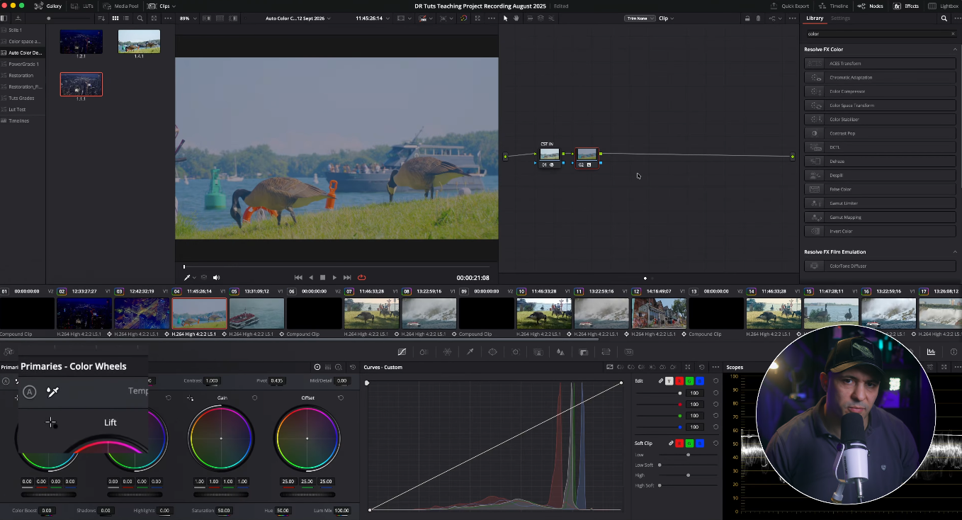 DaVinci Resolve FX Color panel showing tools related to auto white and black level targeting
